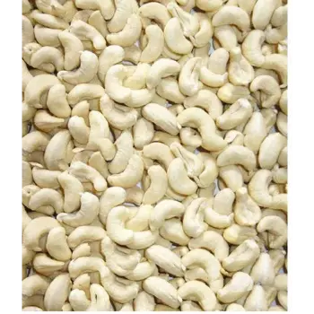 Fresh W240 Cashew Nuts